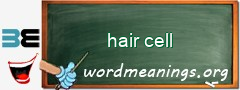 WordMeaning blackboard for hair cell